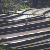 Photo de Bali - Jatiluwih